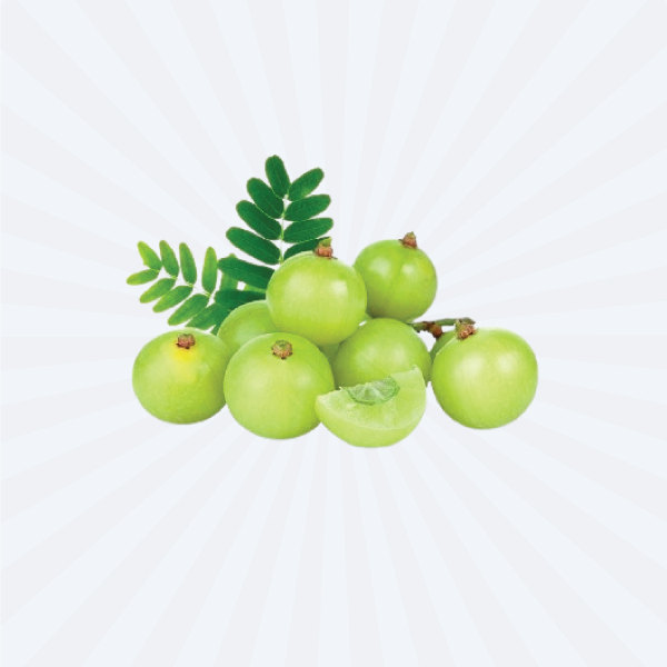 AMLA / AMALAKI (FRESH)