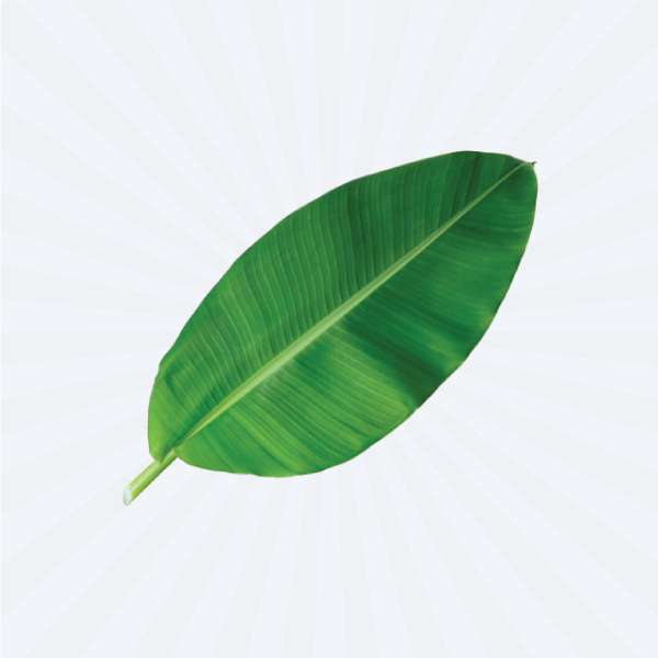 BANANA LEAF (230-250GM)