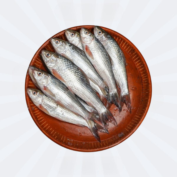 Bata Fish (Cleaned) Big Size