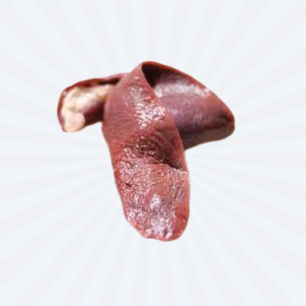 Beef Spleen / Tilli (Japan