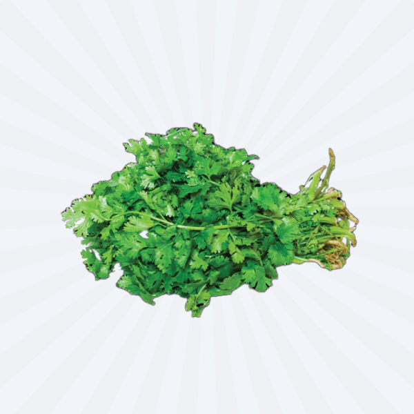 DHONIA PATA / CORIANDER LEAF (GREEN)