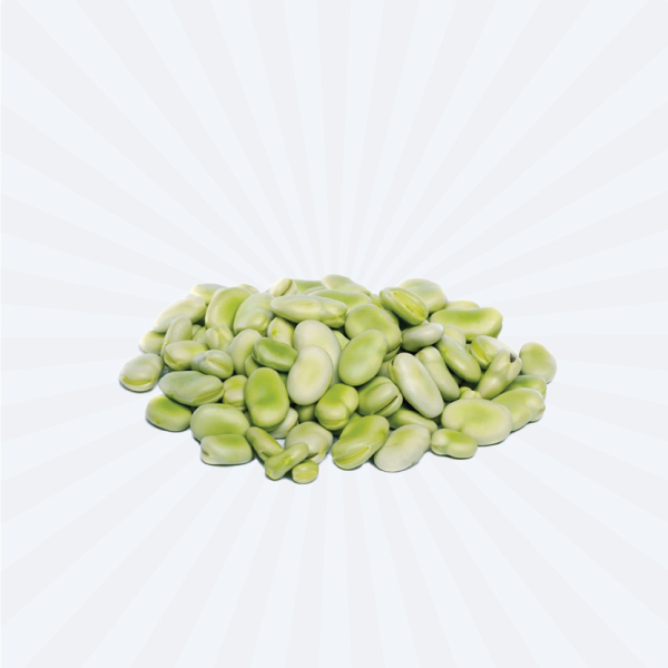 FAVA BEAN / SORA MAME