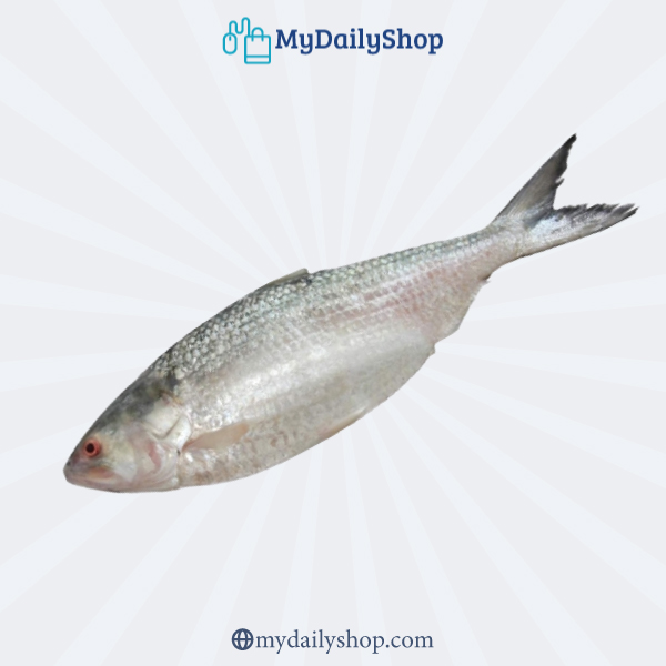 Hilsha Fish 1000-1080gm