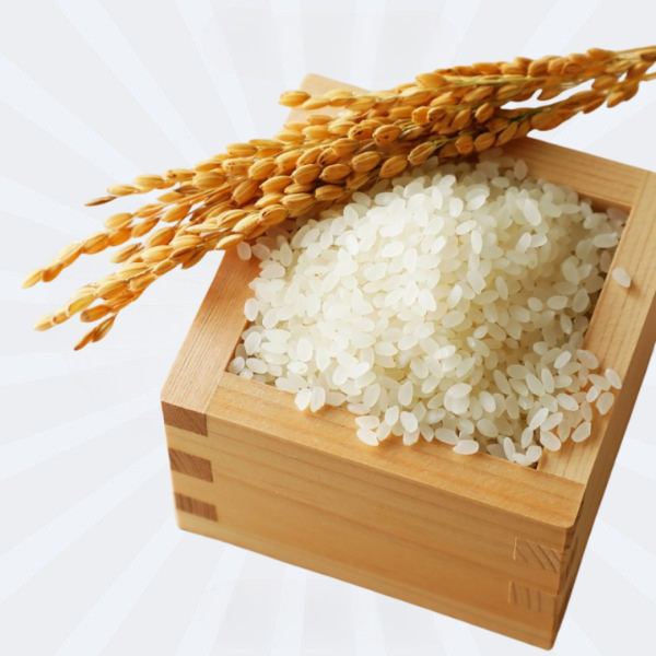 Japan Type Sticky Rice (Good Quality) 10kg