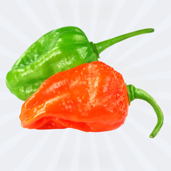 KAMRANGA MORICH / BOMBAY MORICH / SPICY CHILLI / HABANERO (FROZEN)