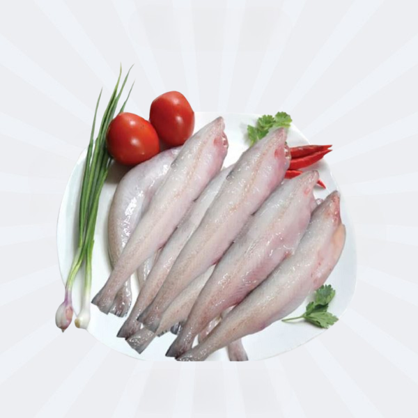 Lotia / Lotiya Fish (Big Size)