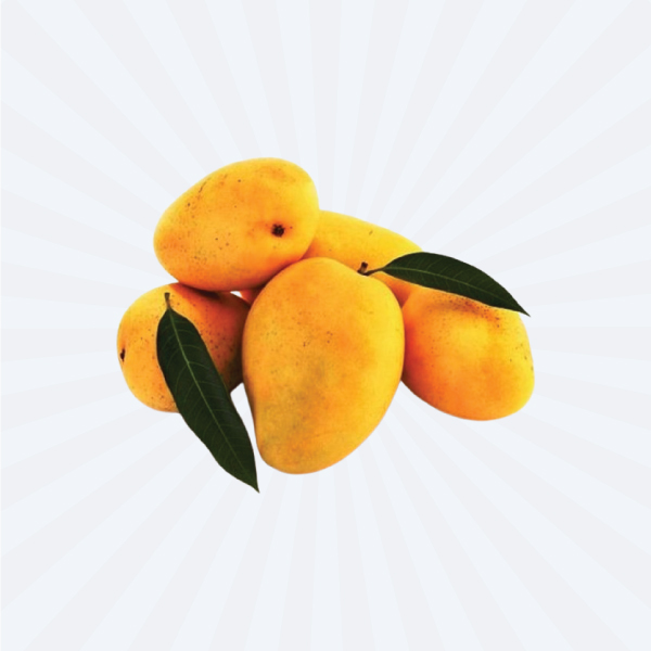 MANGO RIPENED / MANGO YELLOW KESAR (FRESH) @ FIRST IN SEASON** PAKA MANGO