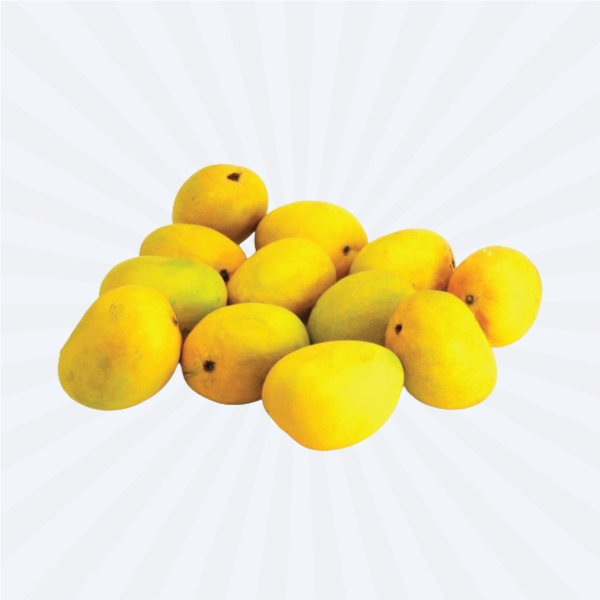 MANGO RIPENED / MANGO YELLOW KESAR (FRESH) @ FIRST IN SEASON** PAKA MANGO