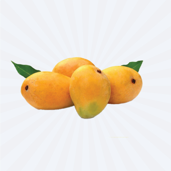 MANGO RIPENED / MANGO YELLOW KESAR (FRESH) @ FIRST IN SEASON** PAKA MANGO