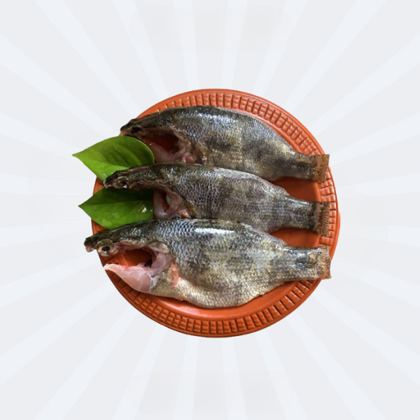 Meni (Veda)