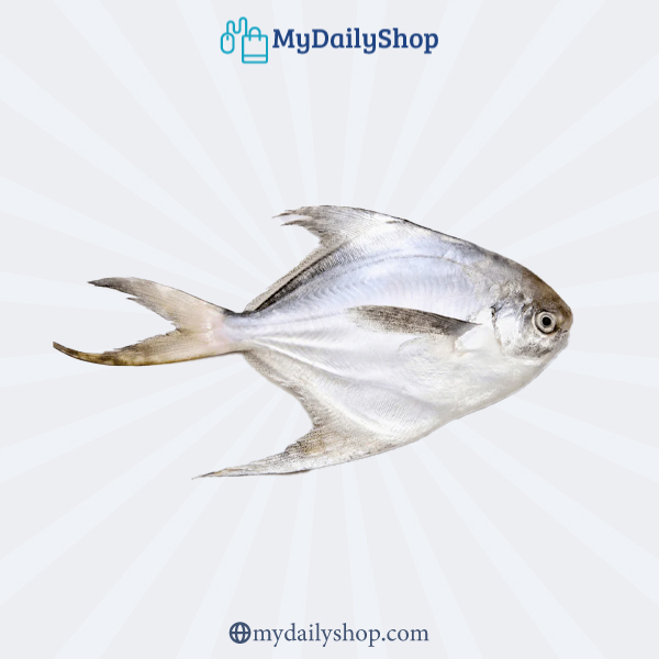 Rupchanda/ Silver Pomfret (Big size) 1Kg