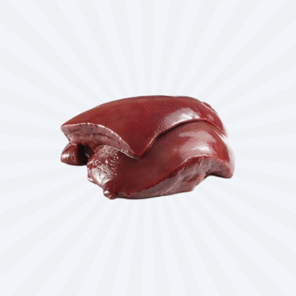 Sheep Liver