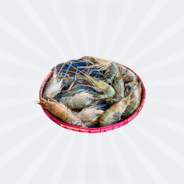 Shrimp U-8 (Golda Chingri)