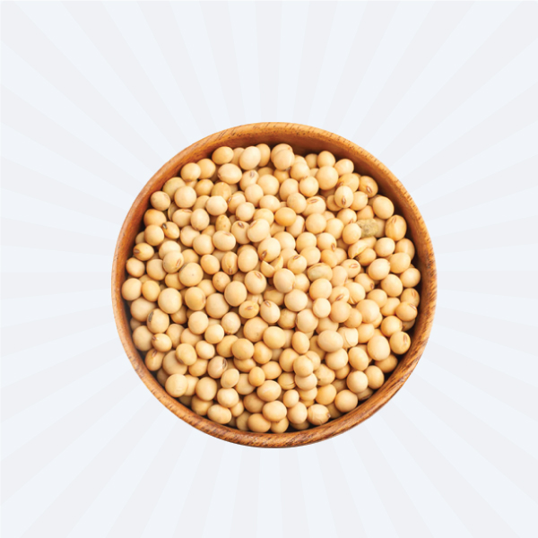 SOYA BEAN